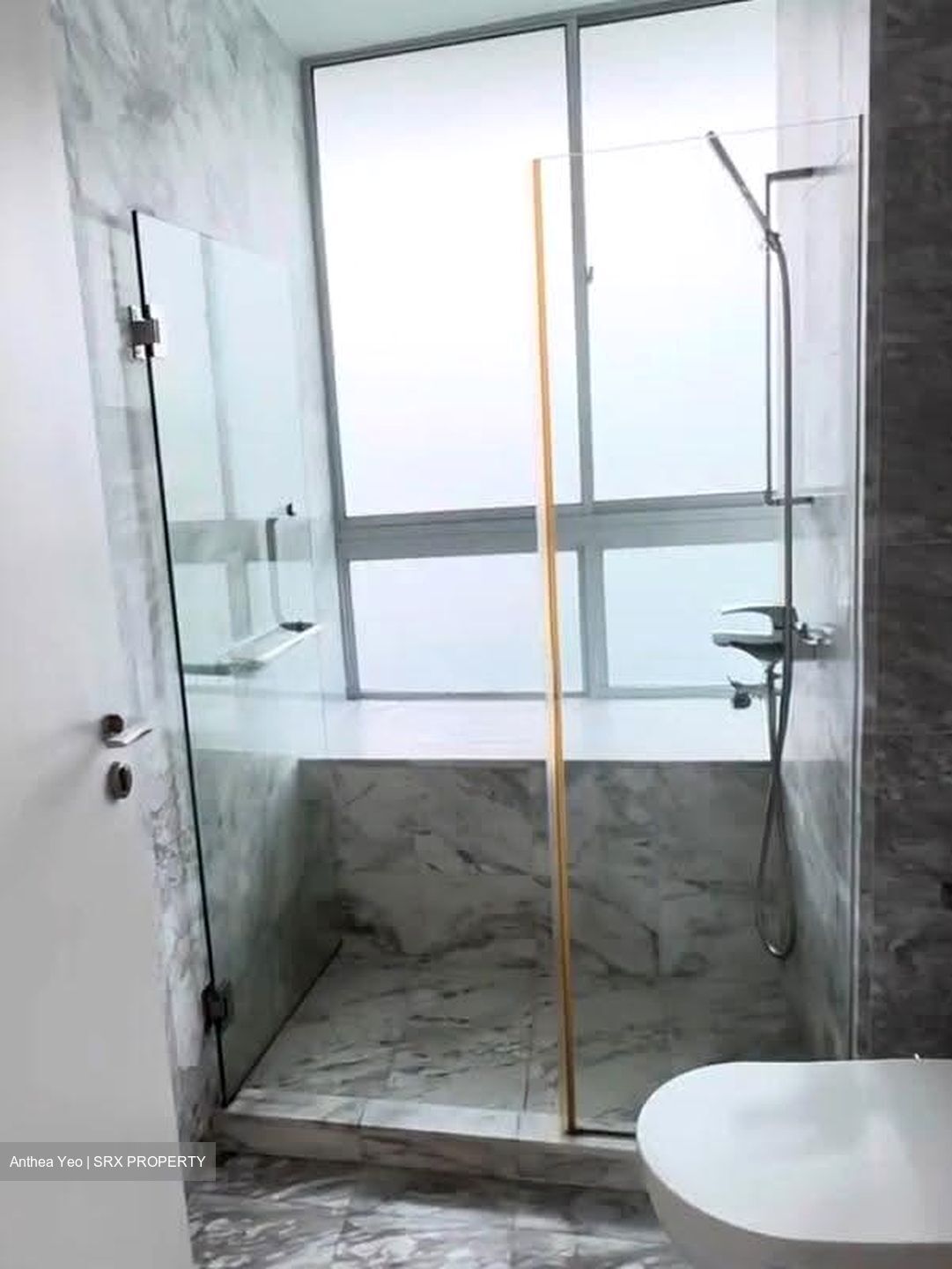Zenith (D10), Apartment #617532451